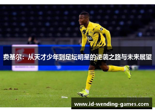 费基尔：从天才少年到足坛明星的逆袭之路与未来展望