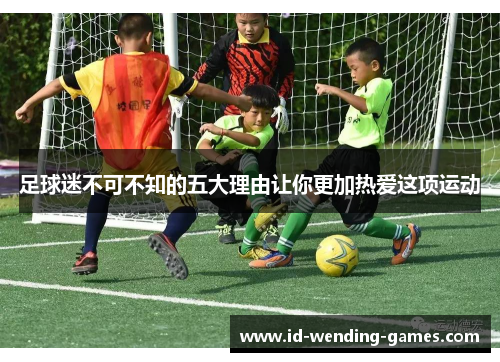 足球迷不可不知的五大理由让你更加热爱这项运动